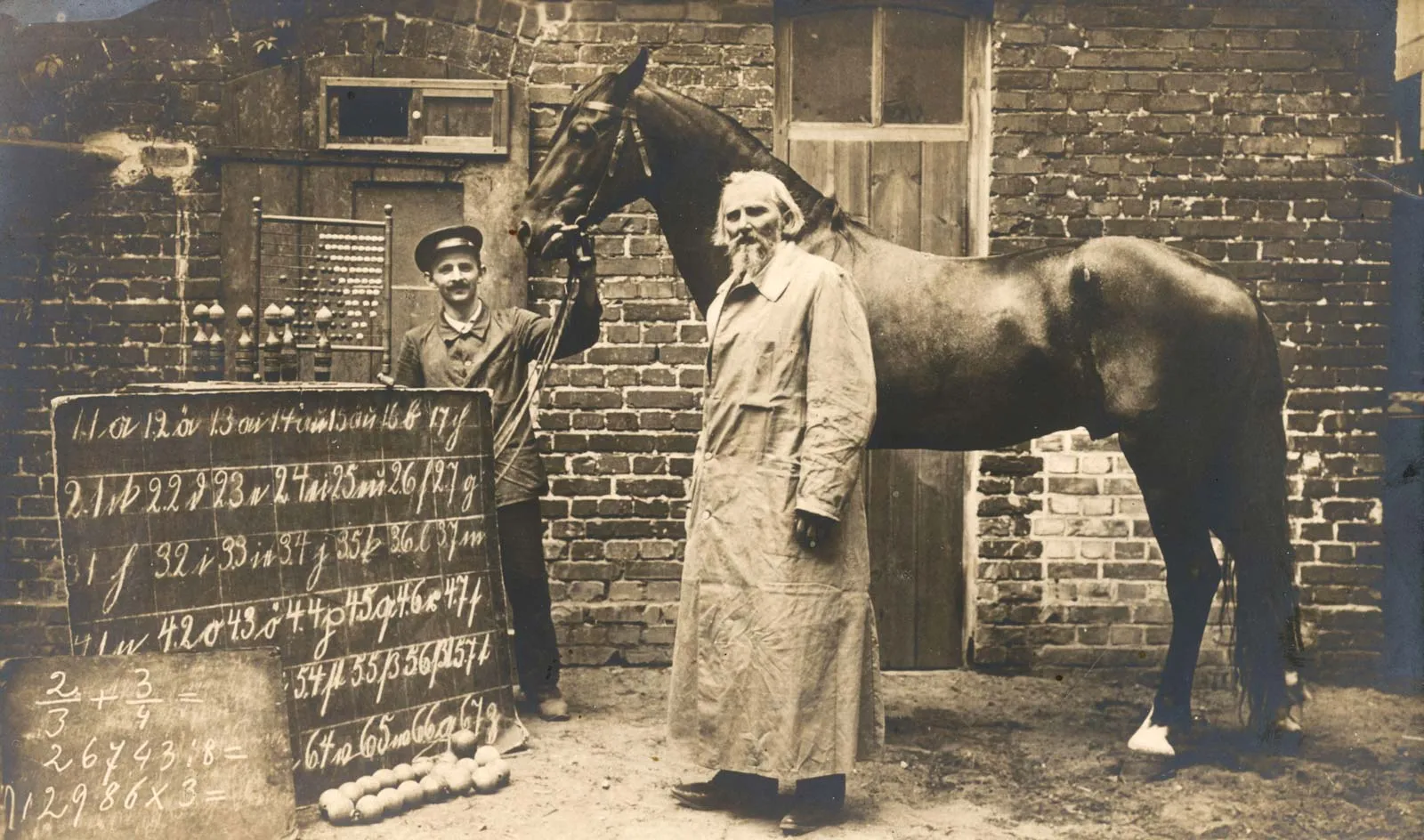 clever hans
